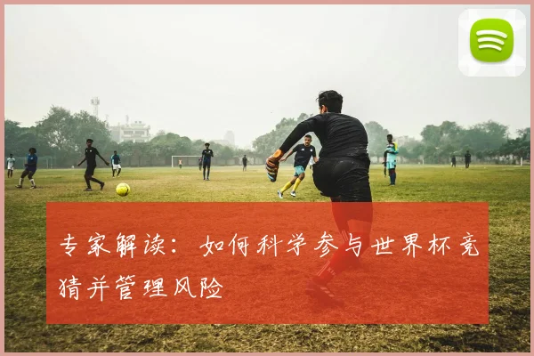 专家解读：如何科学参与世界杯竞猜并管理风险