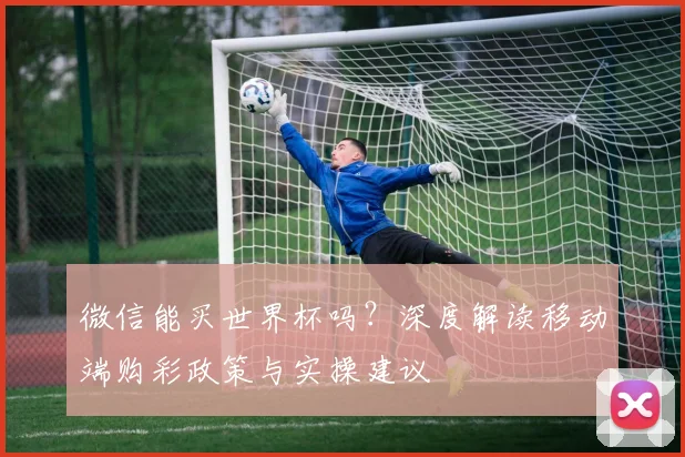 微信能买世界杯吗?深度解读移动端购彩政策与实操建议