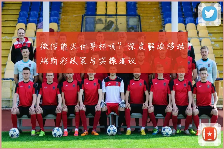 微信能买世界杯吗?深度解读移动端购彩政策与实操建议