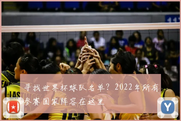 寻找世界杯球队名单？2022年所有参赛国家阵容在这里
